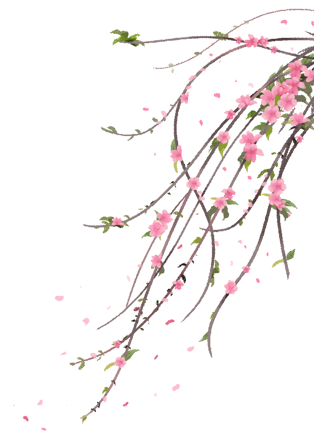 南充版繁花上映来看初春顶流有多美