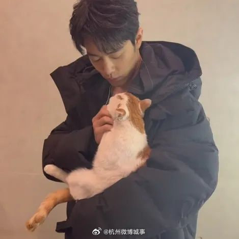 杭州国家版本馆的肖如愿火了 粉丝:此刻我在羡慕一只猫|肖战|猫|杭州