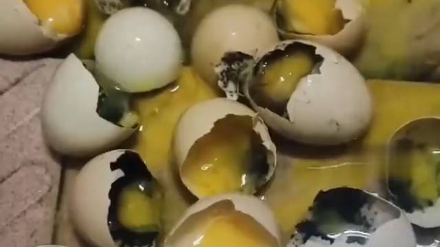 11.5元买11个鸡蛋仅1个没坏