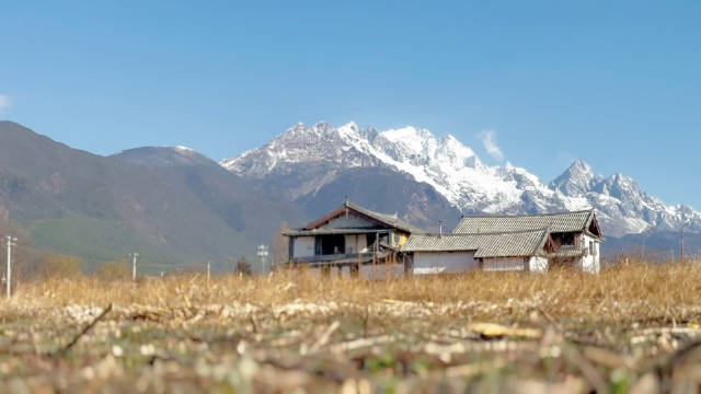 春回大地 我归雪山 走进玉龙雪山下的村庄 去看万物复苏的样子