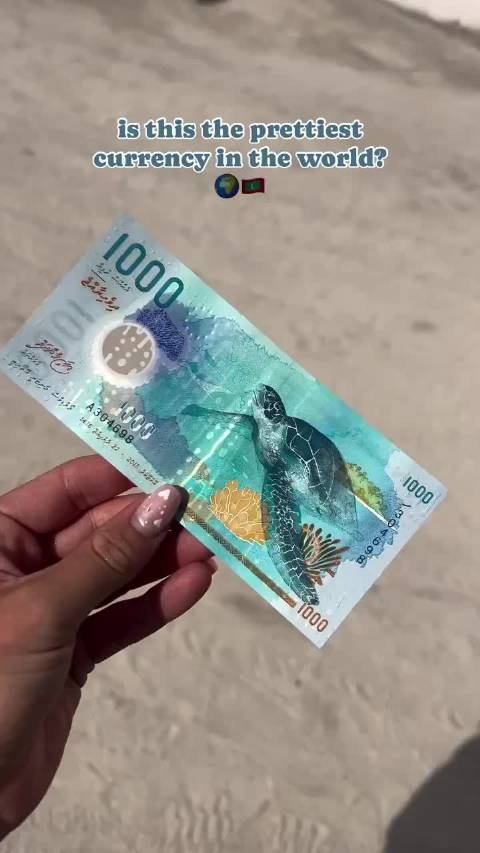 马尔代夫1000拉菲亚纸币有鲸鲨皮肤的条纹图案和绿海龟底纹