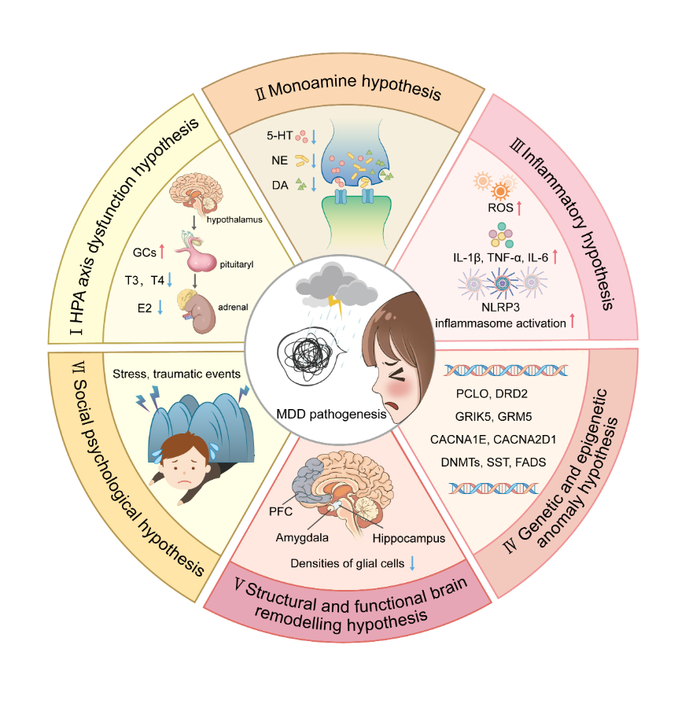 关于月球起源的有哪五个假说?...