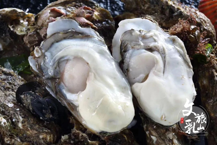 馋人,真馋人!揭秘乳山特产,让你对这座城市更加心生爱意!|牡蛎|茶叶_