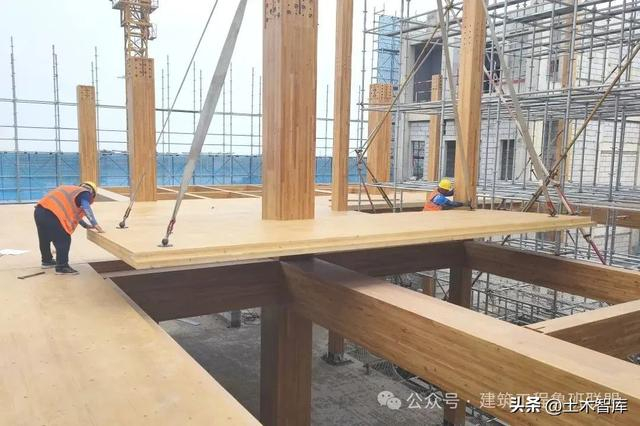 全国首座!“木-混凝土组合结构”多高层建筑!|江苏省|消防救援|建筑学|江苏省康复医院|医院_新浪新闻