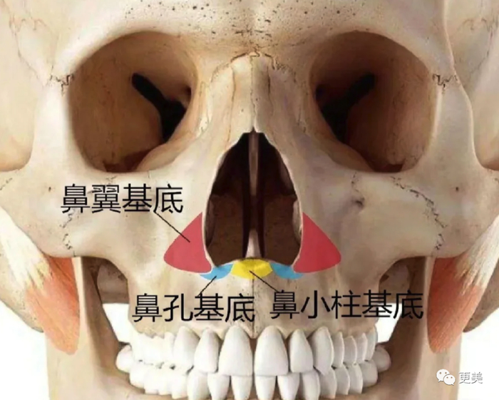 24岁女童星越大越漂亮多亏了新垫的鼻基底