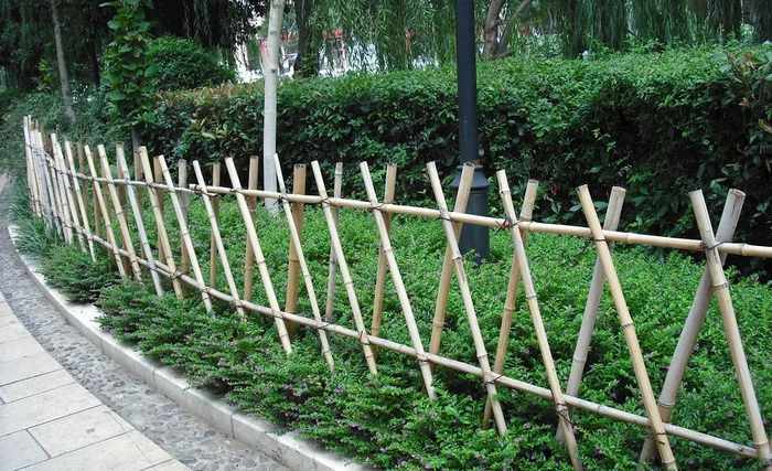 花园视觉新享受,花园氛围新高度,关于花园篱笆的小知识,你了解多少?|