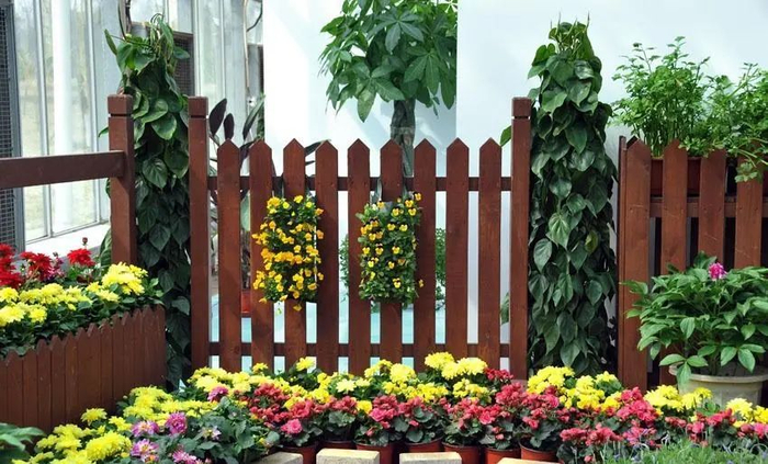 花园视觉新享受,花园氛围新高度,关于花园篱笆的小知识,你了解多少?|