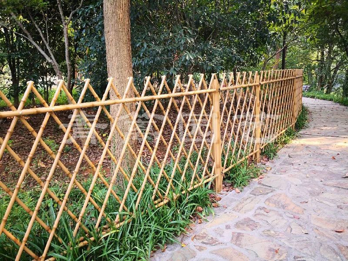 花园视觉新享受,花园氛围新高度,关于花园篱笆的小知识,你了解多少?|