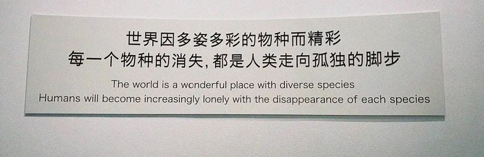 这些藏在博物馆里的文案,一个比一个震撼人心|博物馆|纪念馆|文案