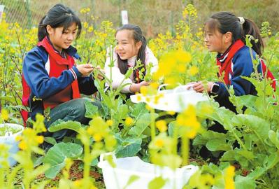 开学第一课别样又精彩
