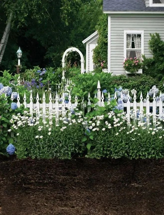 花园视觉新享受,花园氛围新高度,关于花园篱笆的小知识,你了解多少?|