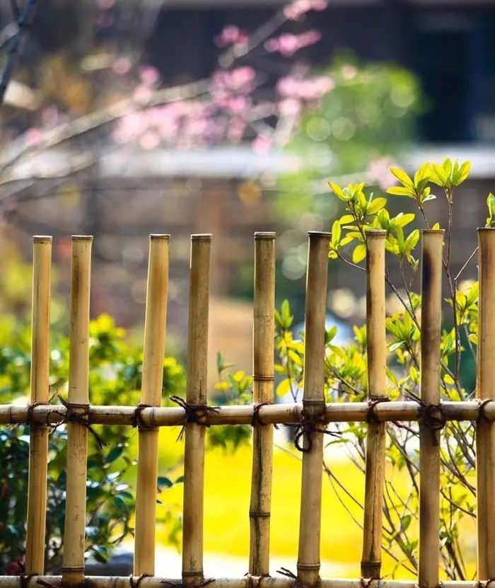花园视觉新享受,花园氛围新高度,关于花园篱笆的小知识,你了解多少?|