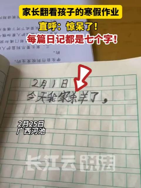 没想到吧小学生的寒假作业原来是这么写的
