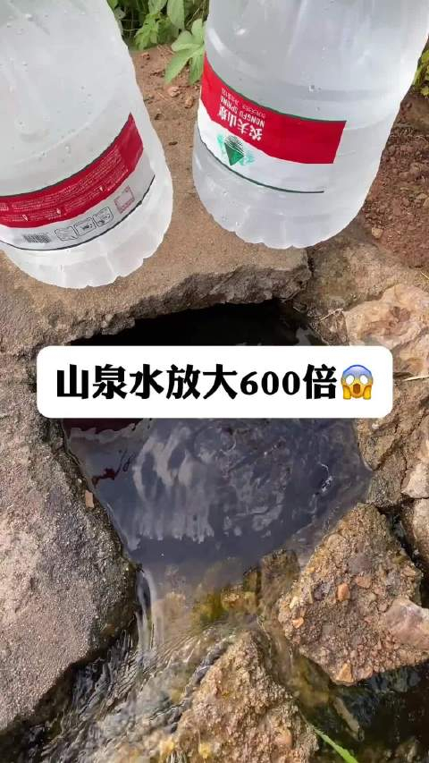 自然山泉水真的天然纯净吗我们放大600倍看看