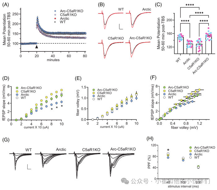 alzheimersdementiac5ar1影响ad中胶质细胞的突触修剪