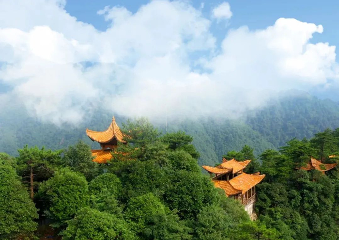 下周这些人放假半天去江西这些景区免费