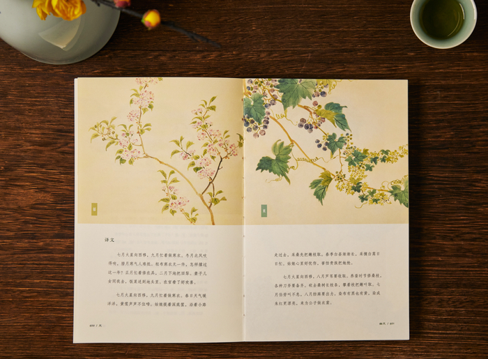 探索千古智慧,品读《诗经》之美