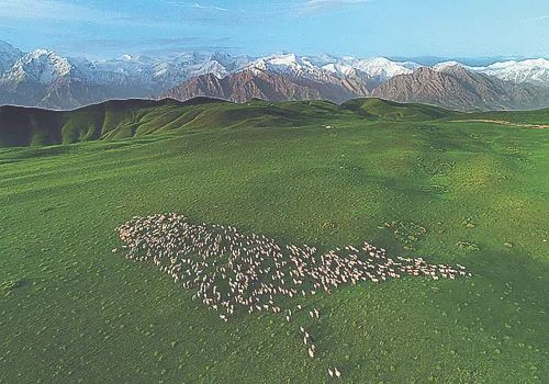 新疆维吾尔自治区策勒县的昆仑景区风光。受访者供图