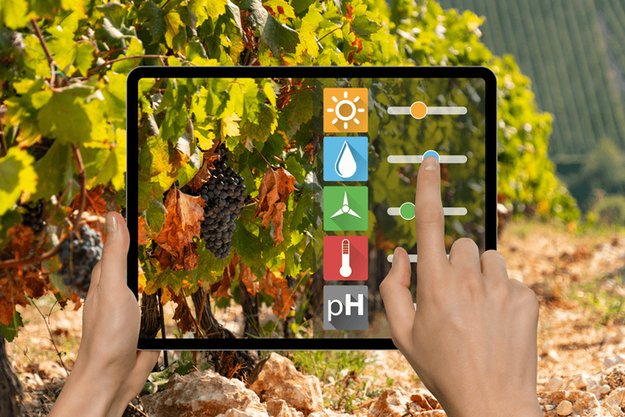 让人不安的人工智能会影响我喝酒吗