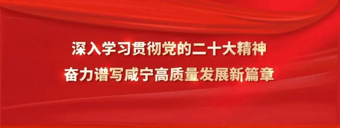 咸宁选调公务员笔试最新公告来了