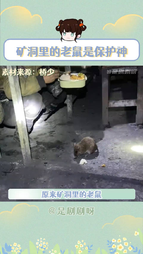 上街人人喊打进矿了那就是安全总监挖矿搞笑