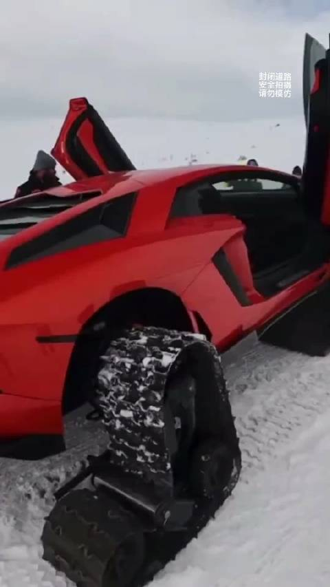 有的基尼娇生惯养有的兰博驰骋疆场