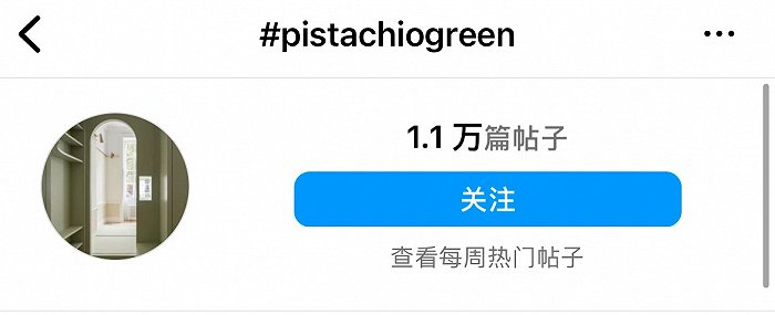 pistachio green色号及相关话题；图片来源：instagram截图