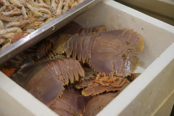 沿着东海海岸线往下吃