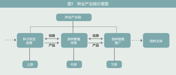 简单补充一下,"育繁推一体化"企业指的是涉及种业产业链选育,培育