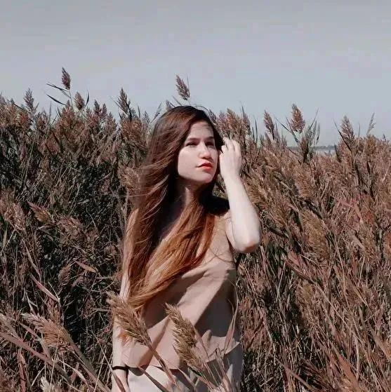 素雅简约之美带来的舒适与宁静|设计师|宁静|简约_新浪新闻