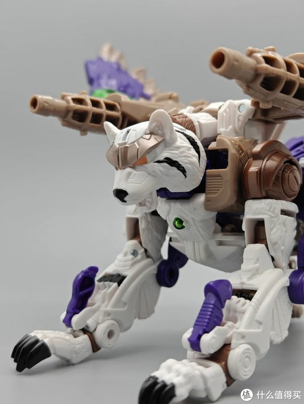 传世系列又一精品——传世领袖级虎鹰开箱|机器人|虎鹰|传世_新浪新闻