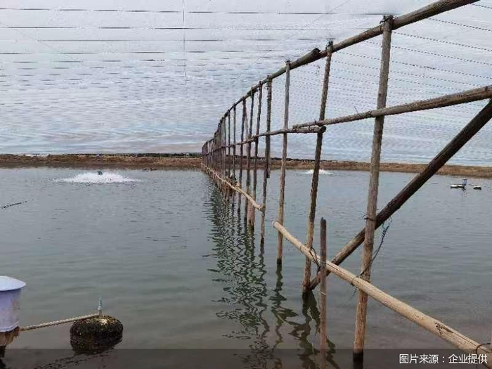 工厂到店只要48小时