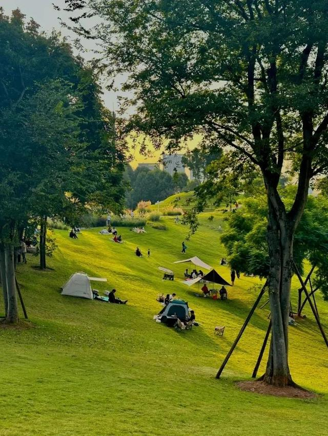 这个春天,有一半的成都人,都在草地上晒太阳~|小红书|导航|公园_新浪
