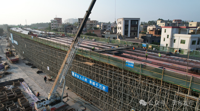 海洋大道立交项目的施工现场。茂名日报社全媒体记者 莫积均 摄