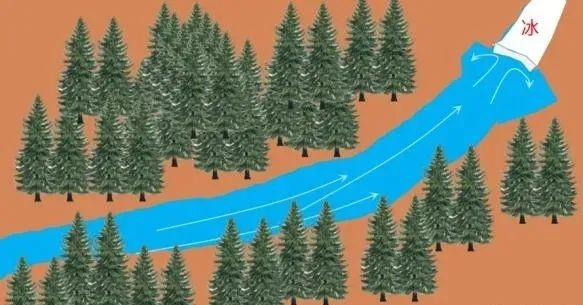 【水文地理】水体顶托作用,"泾渭分明" :两水交汇的风景|顶托|泾河