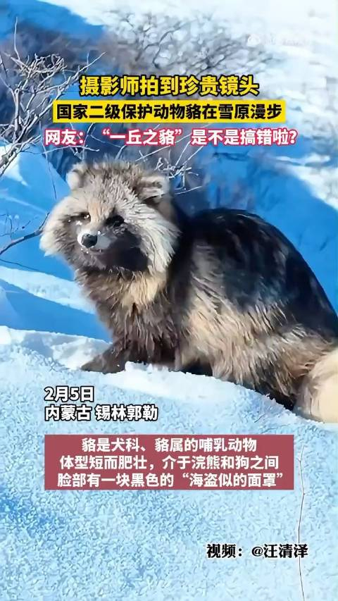 原来这就是一丘之貉的貉