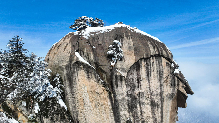 河南灵宝:汉山雾凇美如仙境|灵宝|汉山|雾凇_新浪新闻