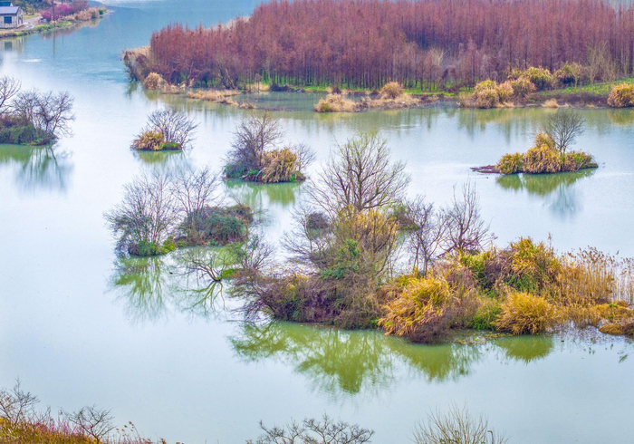 浙江宁波:生态湿地多彩风光|浙江省|宁波市_新浪新闻