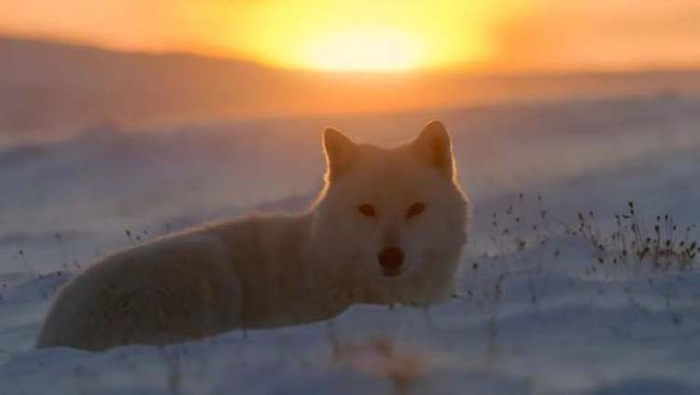 7,地球上环境最恶劣的地方长这样|西奥|英国_新浪新闻