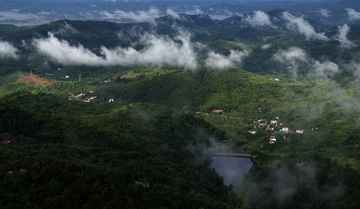 湖北省烟草专卖局:"特色帮扶"兴乡村|烟草专卖局|乡村|知音_新浪新闻
