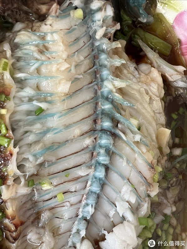 吃不吃东星斑都要试试彩眉鱼