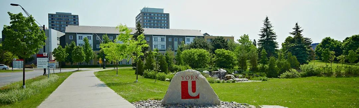 笑不活了原来真有wildchickenuniversity留学生看了直呼内行