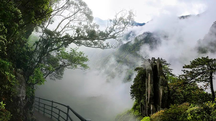 半价!多地宣布|安福|景区|门票_新浪新闻