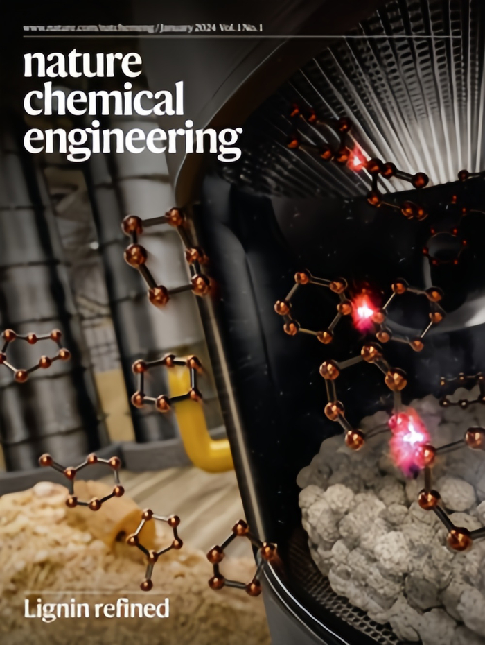 （来源：Nature Chemical Engineering）