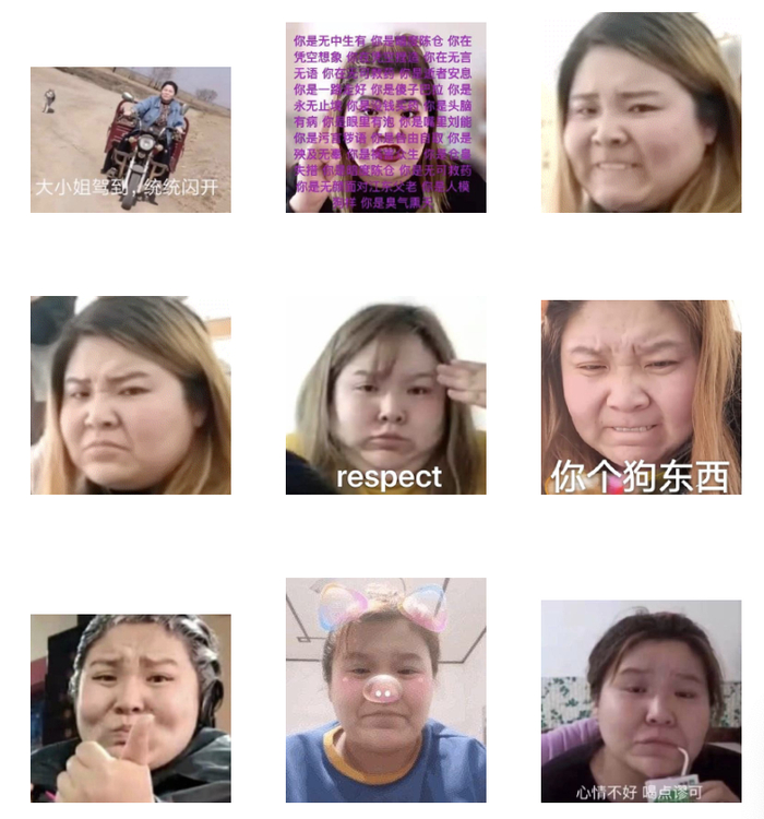抖音爆火表情包想要获得呆萌小狗