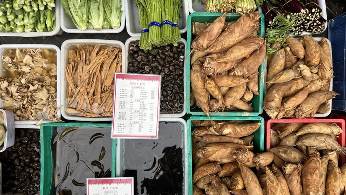 （图/作者拍摄）