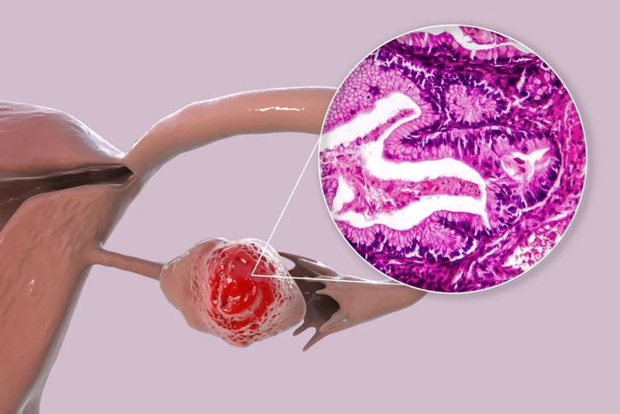 图库版权图片，转载使用可能引发版权纠纷