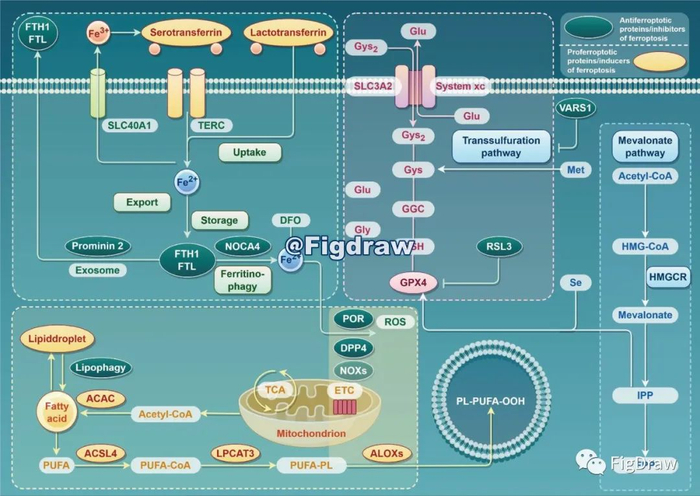 国自然配图美化,这个Nature也用的工具用起来|科研|流程图|模版|绘图|素材_新浪新闻