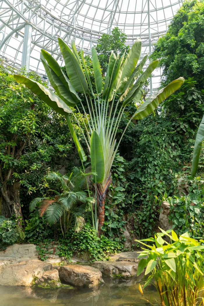 她来了,这里的颜值即将拉满|植物园|郑州市_新浪新闻