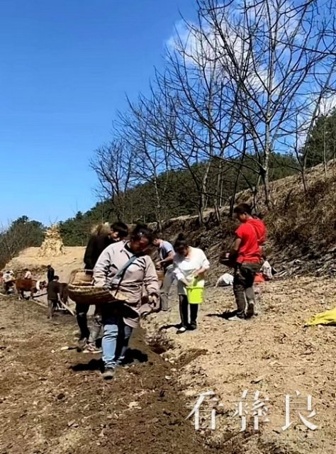 开展,牢牢守住国家粮食安全底线,连日来,彝良县海子镇抢抓有利时机,抢